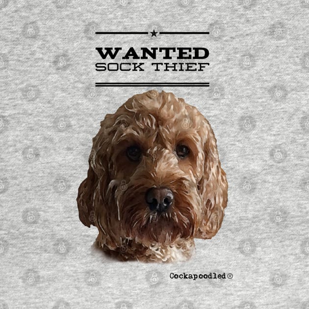 Cockapoo / Doodle Dog Sock Thief by WoofnDoodle 